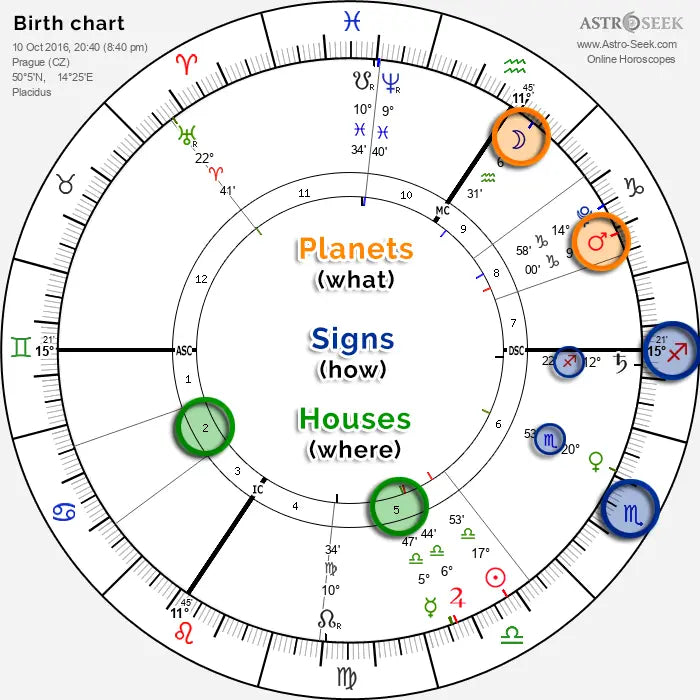 What Is a Natal Chart in Astrology? A Beginner’s Guide